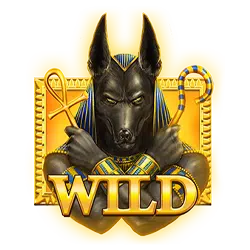 Symbol automatu do gry Curse of Anubis - 13