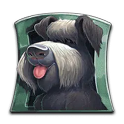 Symbol automatu do gry Flodder - 5