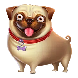Symbole online slotu The Dog House - 3
