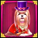Symbol The Dog House Royal Hunt - 3
