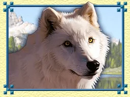 Symbol automatu do gry Wolf Run - 3