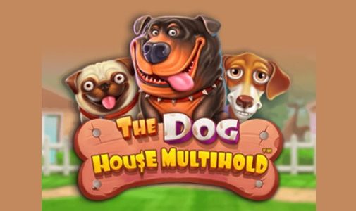 Zagraj w The Dog House Multihold przegląd, bonusy | World Casino Expert Polska