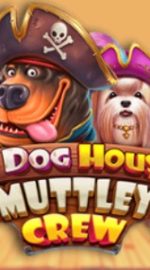 Grati u Online Slot The Dog House Muttley Crew - Ogliad, Demo, Bonusi