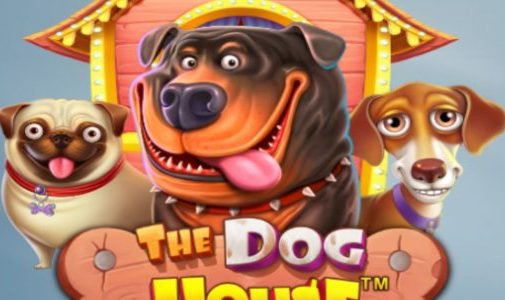 Play Slot The Dog House – Review, Bonuses | World Casino Expert